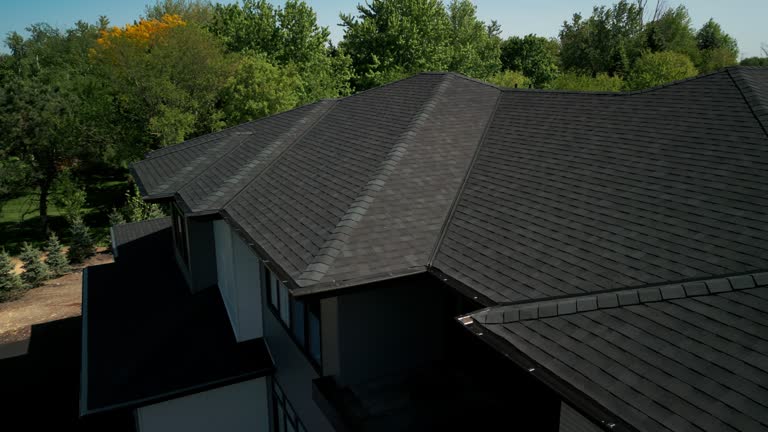 Best Roof Ventilation Installation  in Meridian, TX