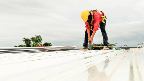 Roof Insulation Installation in Meridian, TX