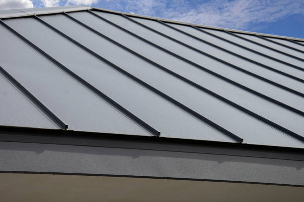 Best Sheet Metal Roofing  in Meridian, TX