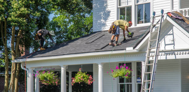 Best Gutter Installation and Repair  in Meridian, TX